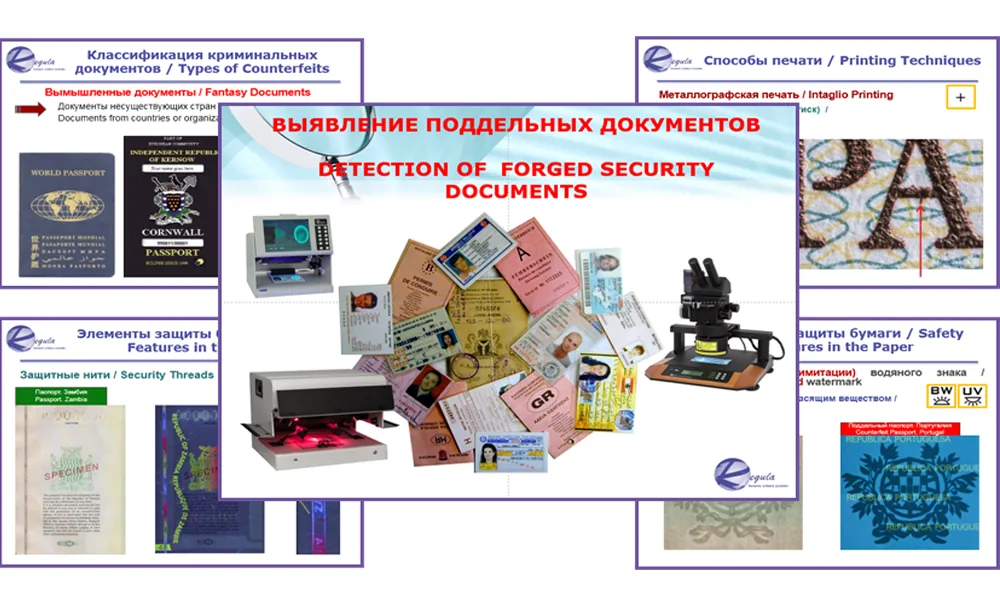 Выявление поддельных документов Regula